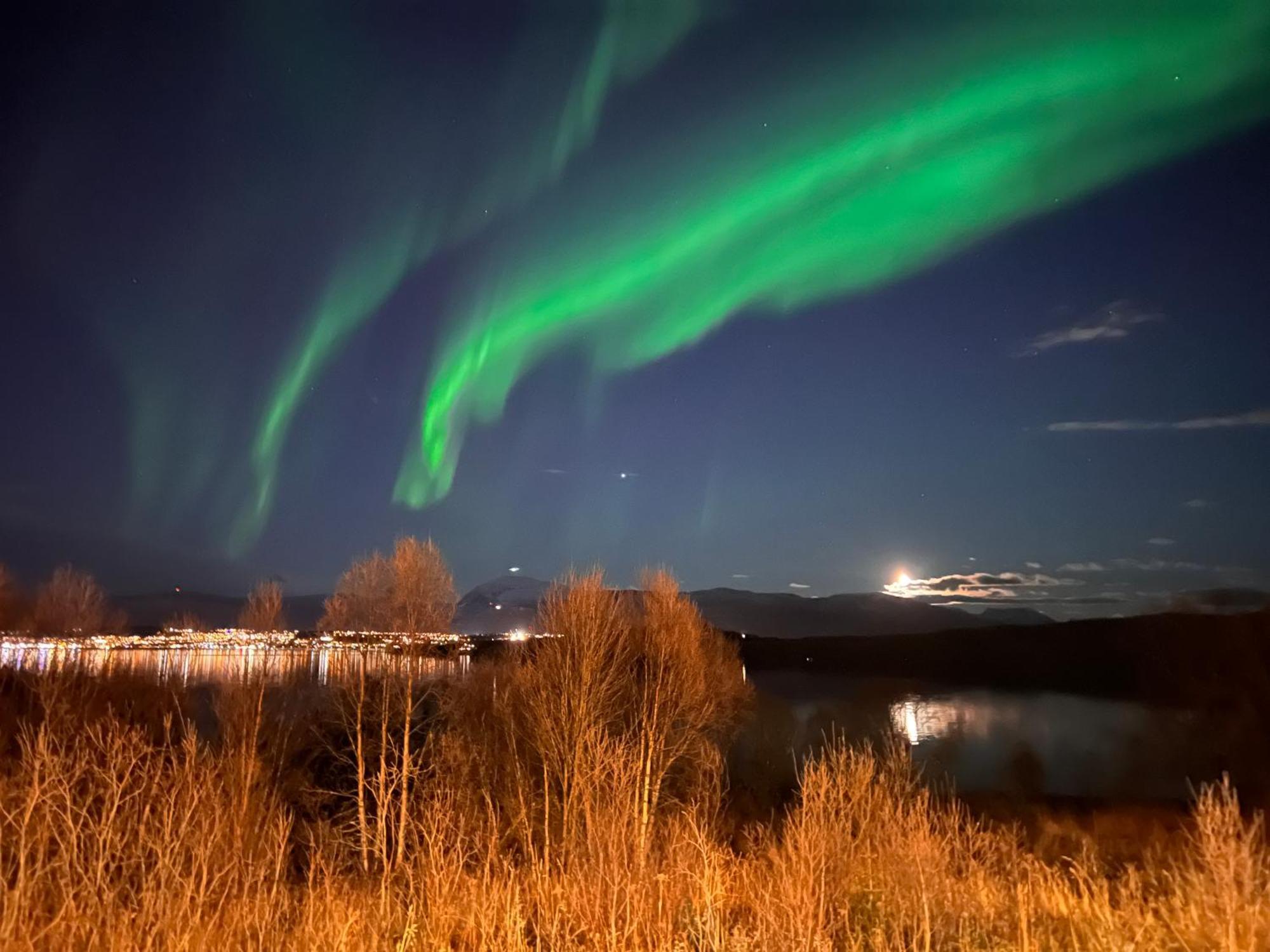Aurora North Villa Tromso Ngoại thất bức ảnh
